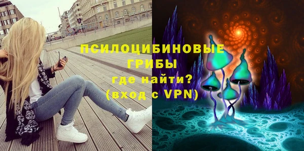 2c-b Вяземский