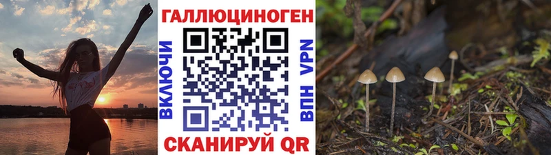 Галлюциногенные грибы MAGIC MUSHROOMS  Купить  Радужный 